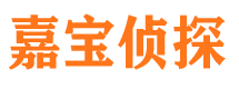 沐川市私家侦探